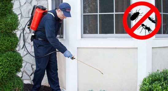Altınekin Kene İlaçlama böcek ilaçlama ve haşere kontrolü — ilaclama-tr.com
